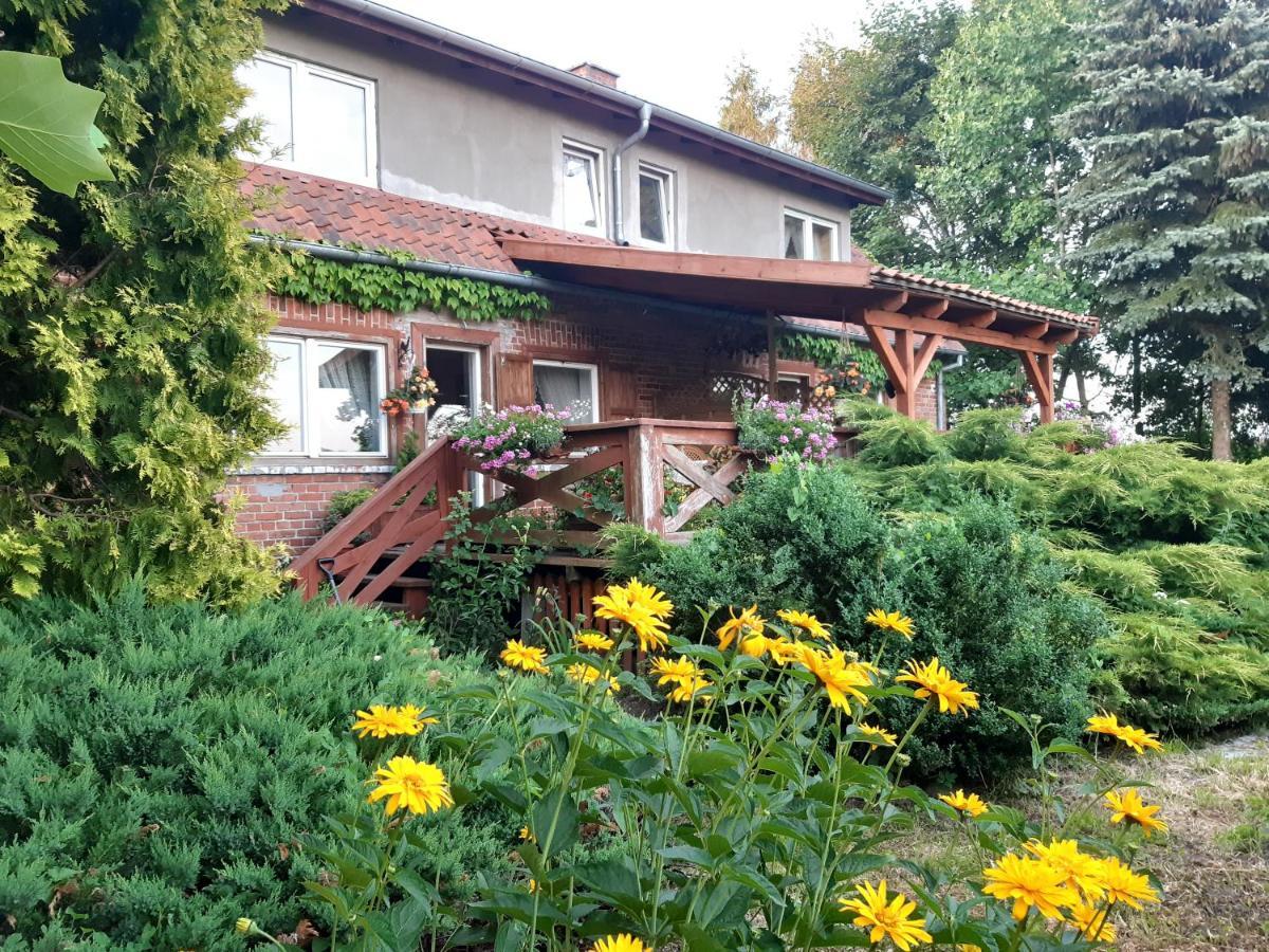 Dziki Brzeg Jezioraka Zalewo (Ostroda) Exterior foto