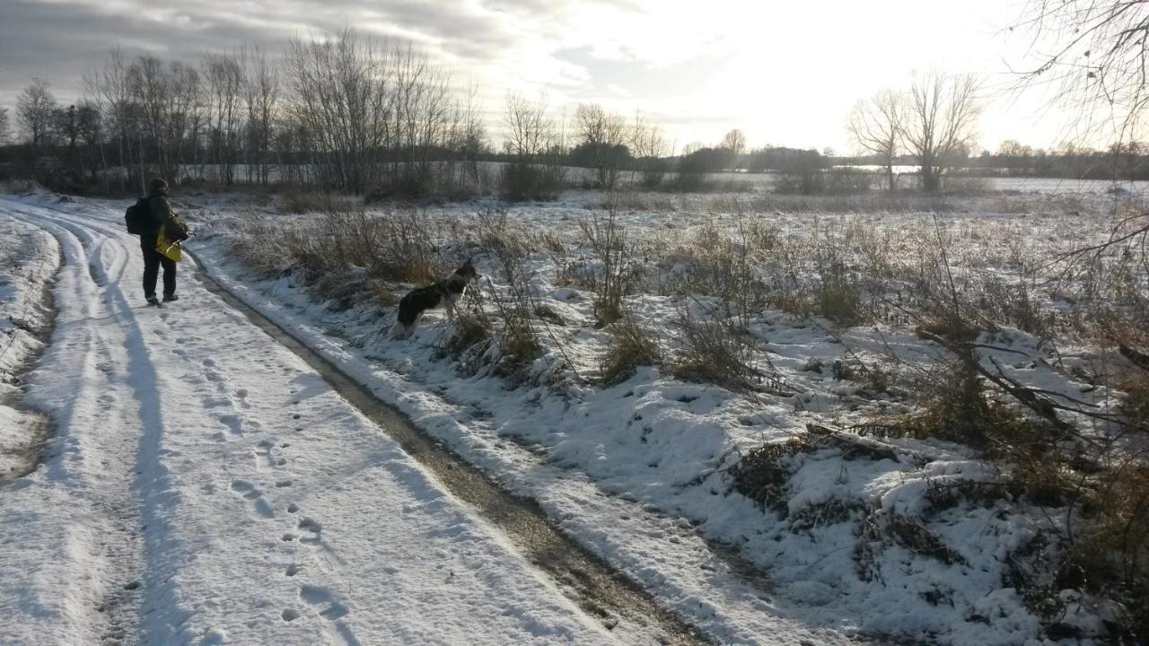 Dziki Brzeg Jezioraka Zalewo (Ostroda) Exterior foto